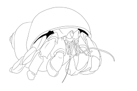 Cute and happy cartoon hermit crab with a shell isolated on white background childish vector illustration and colorful book page for kids buy this. Free Printable Hermit Crab Coloring Pages For Kids