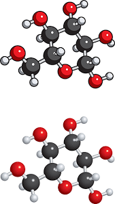 Glucose Molecule Vector Model C6h12o6 V1 Igoscience Com