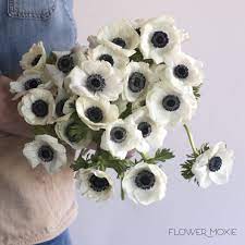 Anemone White Diyflowers Diyweddingflowers Affordableflowers Weddingaffordable Doityourselfflowers Diybride White Anemone Flower Anemone Flower Anemone
