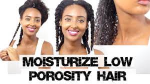 A good general rule of thumb: How To Moisturize Dry Low Porosity Natural Hair Youtube