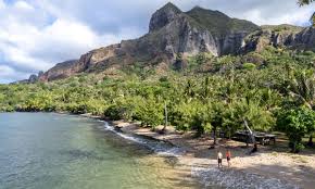 Image result for Marquesia acuminata