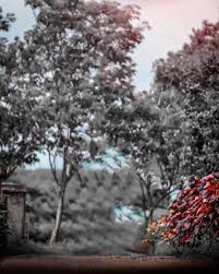 100 Picsart Background Hd Download Picsart Blur Background Download Zip Picsart Bac Love Background Images Light Background Images Background For Photography