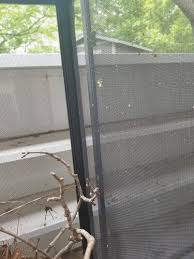 Another preventative measure is to get screens installed with your windows. Katydid Eggs Hatched Chameleon Forums