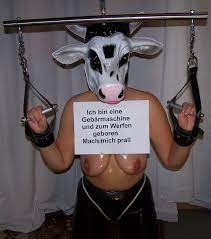 Cow milking porn