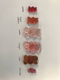 Our Gummy Bears Spent 24 Hours In Their Solutions Students Were Easily Able To Draw Conclusions About Water Science Fair Projects Science Fair Fair Projects