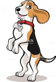 Vector Beagle Dog Cartoon Standing On Hind Legs Wearing Bright Red Dog Sketch Cartoon Dog Beagle Dog