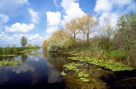 Excursii lacuri, excursie pădurea, excursie sulina, echipamente pescuit, plimbăre cu caiace, pescuit în deltă, Mila23 Delta Dunarii Home Facebook