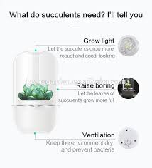 Some of my sedum under an led light. Smart Succulents Pot With Led Grow Light Cactus Seeds Flower Pots Buy Flower Pots Cactus Seeds Smart Pot Product On Alibaba Com