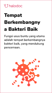 We did not find results for: Kenali Gejala Usus Buntu Pada Lansia