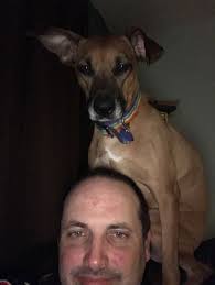 How to check and replace ball joints in a Toyota Tacoma?