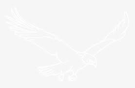 Car liver bird bumper sticker royal liver building, badge silver png clipart. Does The Quill Dream Of Being A Bird Liverpool Fc White Logo Png Free Transparent Png Download Pngkey