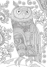 Owl filled with pretty meticulous and regular patterns. Owl Coloring Pages For Adults