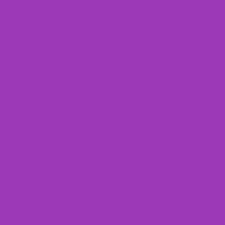 Lee Filters Gel Sheet Rose Purple Lighting Filter 048 21x24 S048