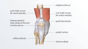 When the tendon is healed, it will still have a thickened, bowed appearance that feels firm and woody. Patellofemoral Pain Syndrome