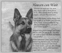 Heaven Can Wait Art Print By Sue Long In 2020 Dog Poems Dog Quotes Heaven Can Wait
