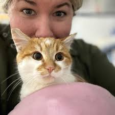 Ferdinand and Friends Animal Rescue Network