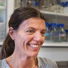 View the player profile of michele castagnetti (cremonese) on flashscore.com. Stefania Castagnetti Observatoire Oceanologique De Villefranche Sur Mer Villefranche Sur Mer Laboratoire De Biologie Du Developpement