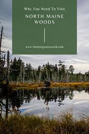 Find Out What Makes The North Maine Woods So Magical And Why It Just Might Be The Place To Find Some Peace And Quiet Baxter State Park Northern Maine Visiting