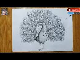 How To Draw A Peacock Step By Step In Easy Pencil Sketch Drawing For Kids Peacock Peacock Drawing Art Drawings Sketches Simple Art Drawings Sketches Creative