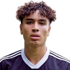 Profile David Leal Costa, FC Augsburg II: Info, news, matches and  statistics