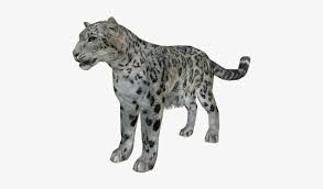 Download Snowleopard Ludozoo Zt2 Snow Leopard Free Transparent Png Download Pngkey