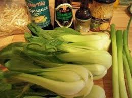 Pak Choi Gemuse Mit Putenstreifen Soja Und Bambussprossen Rezept Rezept Pak Choi Rezept Pak Choi Rezepte