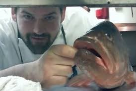 Shakeup At Kith & Kin