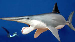 World S Most Bizarre Shark Real Or Fake Shark Prehistoric Creatures Ocean Animals