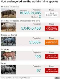 Northern White Rhino Last Male Sudan Dies In Kenya Rhino Species Animals Of The World African Animals