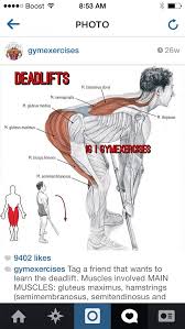 Learn from an expert so that your form is accessed and your risk of injury is lowered. Deadlifts Gluteus Maximus Workout Gym Back Workout Cable Workout