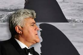 Fundraiser by Paul Kanive : California Great White Shark Count