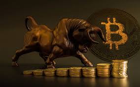 The 50% dip is bitcoins price has doubled since the beginning of 2019, so you may think it's not likely to go up. The Next Bitcoin Bull Run Will Be Different For The Better By Sylvain Saurel In Bitcoin We Trust