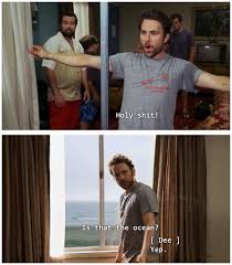 Bird Law Always Sunny Episode It S Always Sunny Charlie Kelly It S Always Sunny Sunny In Philadelphia Tv Shows Funny