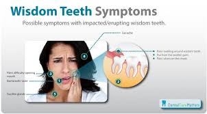 What are wisdom teeth removal costs without dental insurance? Pin On Cool Facts About Teeth