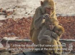 9 Quotes That Will Change What You Think About Zoos Orcas In Captivity Animal Quotes Monkey Cage