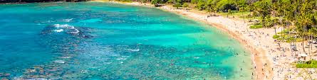 Snorkeling At Hanauma Bay Nature Preserve Aqua Aston Hotels