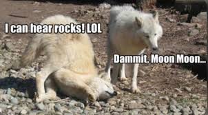 Discover more posts about bitcoin, crypto, binance, safemars, dogecoin, ethereum, and safemoon. Stonepawz V Twitter Safemoon Must Embrace Moonmoon Doge And Safemoon Meme Together The Meme Is Strength The Meme Is Moonmoon Https T Co Cioxr0qwvk
