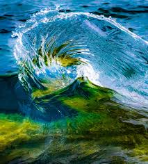 ANNUAL REPORT 2017–2018