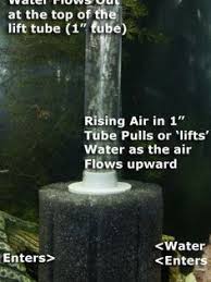 Sponge Filter With Air Pump Diagram For Filtration Aquarium Air Pump Betta Fish Tank Aquarium Filter