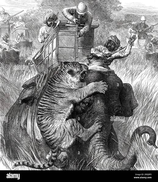 Edward, Prince of Wales, hunting tiger during his state visit to India in 1876. Artist: Unknown Stock Photo - Alamy