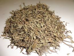 Image result for Zornia