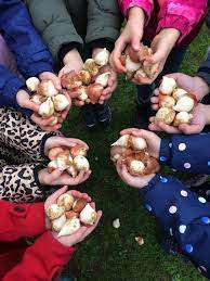 2 in mayen hausen, ☎ telefon 02651/490815 mit anfahrtsplan Blumenzwiebel Pflanzaktion An Der Grundschule Martinsburg In Mayen Hausen Eifelschau De