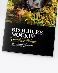 Download Three Brochures Mockup In Stationery Mockups On Yellow Images Object Mockups PSD Mockup Templates
