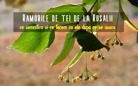În duminica rusaliilor, în biserici au fost binecuvântate ramurile de nuc și tei, ca simbol al limbilor de foc care s‑au pogorât peste ucenici în ziua cincizecimii în ierusalim. Ce Facem Cu Ramurile De Tei De La Rusalii DupÄƒ Ce Se UsucÄƒ Lataifas