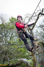 The massachusetts arborists association (maa) is proud to sponsor the massachusetts certified arborists (mca) program. About Us Advantage Tree Care