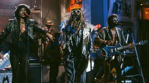 Image result for Afrosolen schimperi