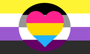 Panromantic is the romantic attraction to people regardless of gender, and as a result, one is attracted to all genders. Lgbtq Unity Nonbinary Asexual Panromantic Combination Flag