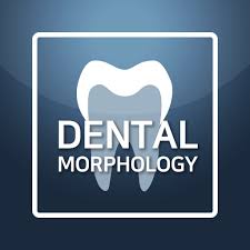 Download instamini apk 1.6.7 for android. Dental Morphology For Student Apk Update Unlocked Apkzz Com