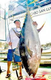 One Million Dollar Tuna It S One Thing To Catch A World Record Tuna But What If You Won 1 Million Because Of It That S The Case For Gu Kayak