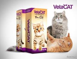Maybe you would like to learn more about one of these? Vetacat Multivitamin Untuk Atasi Bulu Gugur Pos Percuma Pets For Sale In Bangi Selangor Sheryna Com My Mobile 676483
